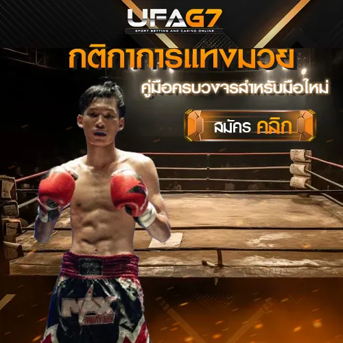 กติกามวย