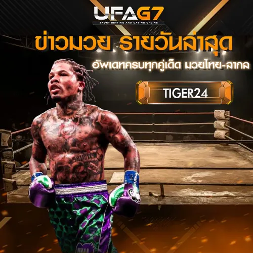 ข่าวมวย_TIGER24