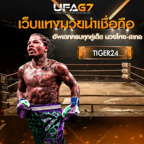 เว็บแทงมวยน่าเชื่อถือ_TIGER24_