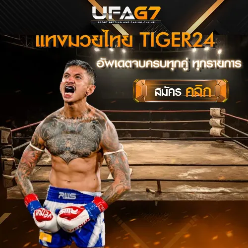 TIGER_24_แทงมวยไทย