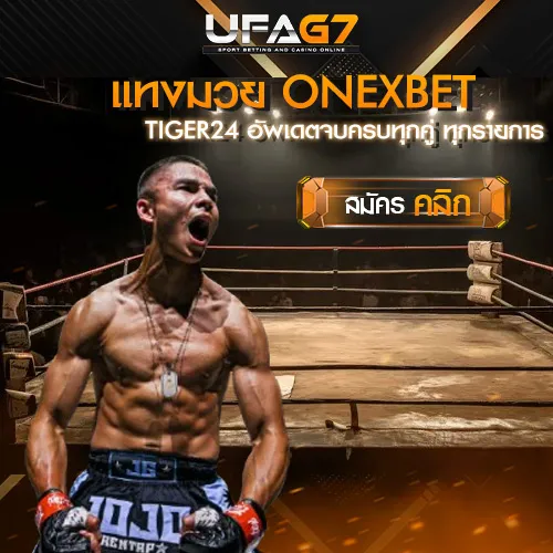 แทงมวย-ONEXBET-TIGER24