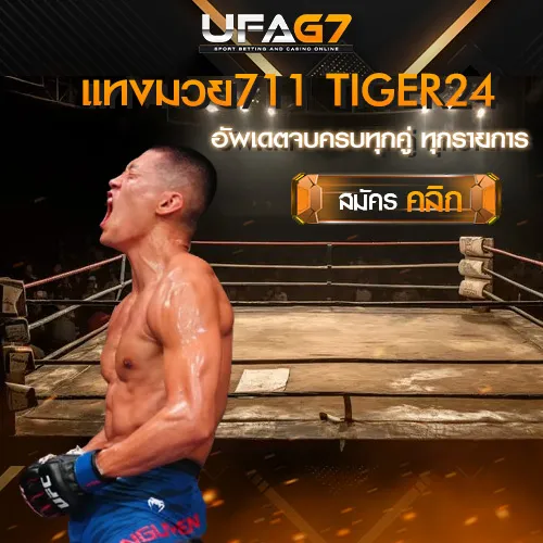 แทงมวย711-TIGER24