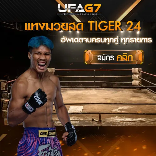 แทงมวยสด_TIGER24