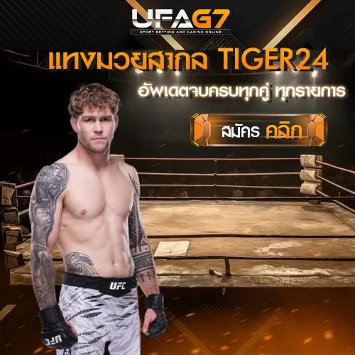 แทงมวยสากล_TIGER24
