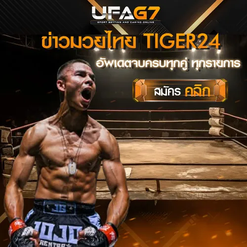 ข่าวมวยไทย-TIGER24