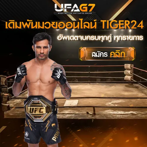 เดิมพันมวยออนไลน์-UFABET-TIGER24